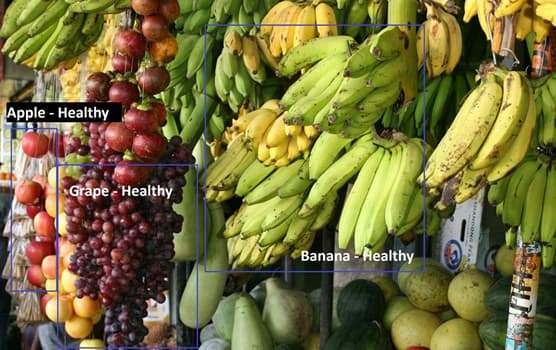 Rotten Fruit And Vegetable Classifier